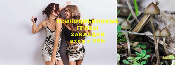 спайс Алексин