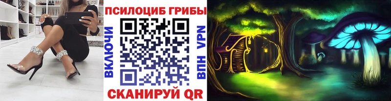 купить наркоту  Чусовой  Галлюциногенные грибы Psilocybe 